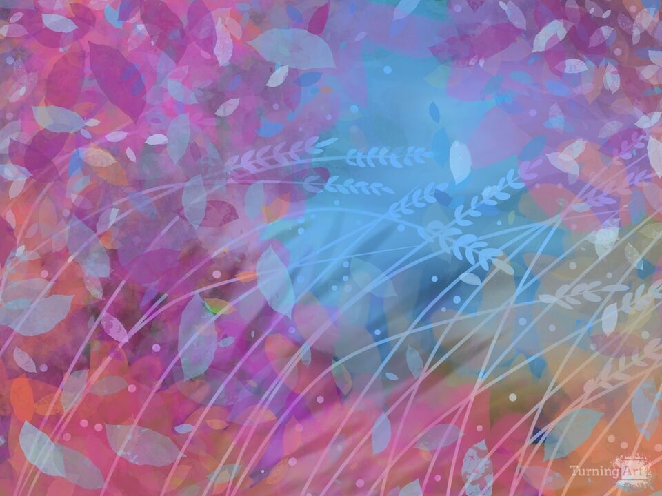 Autumn Leaves with Early Snowfall in Park.