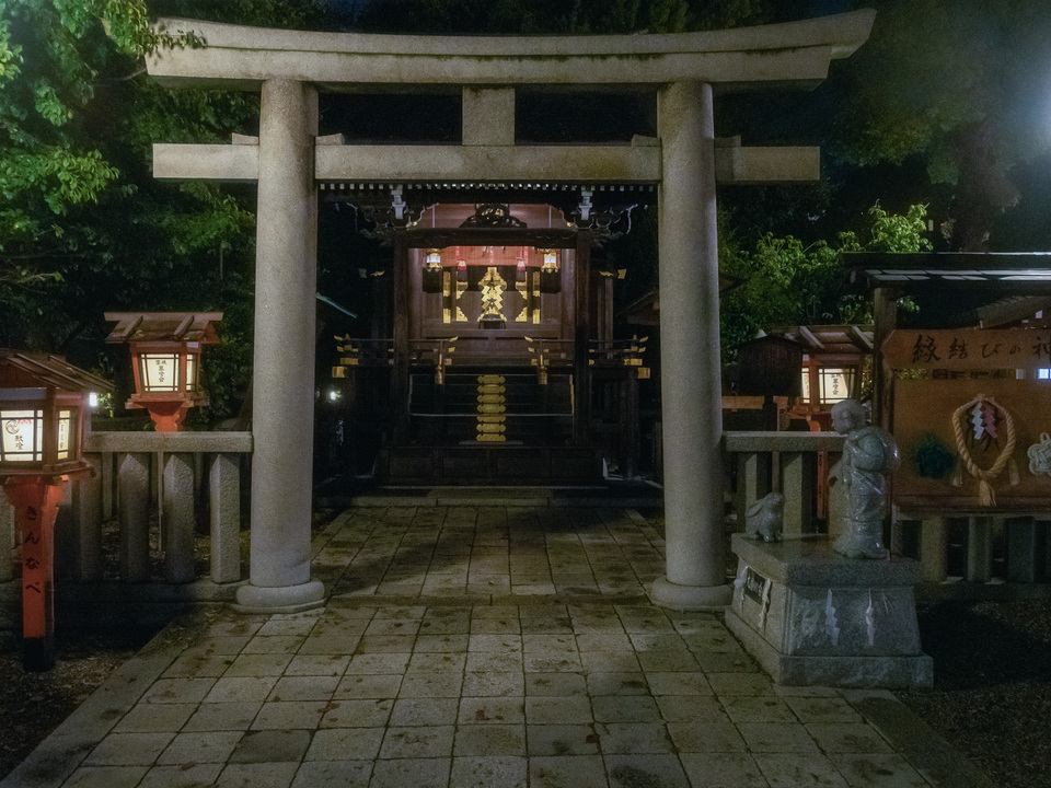 Torii Gate at Night