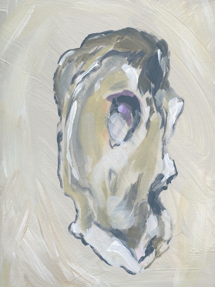 Large Beige Oyster 1