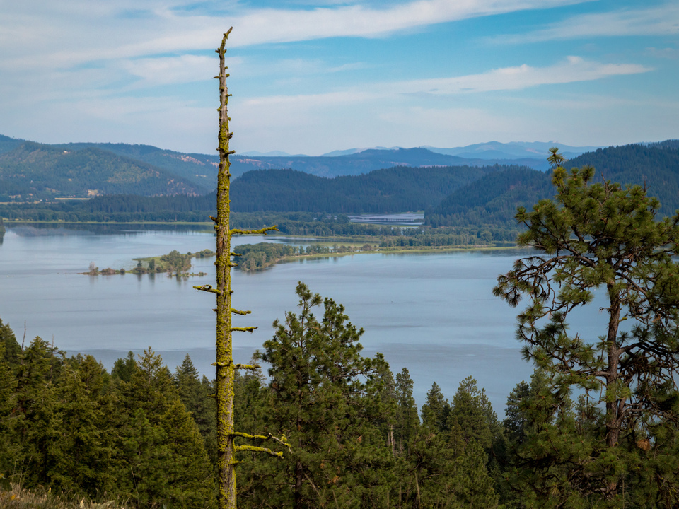 Indian Cliffs View, No. 1