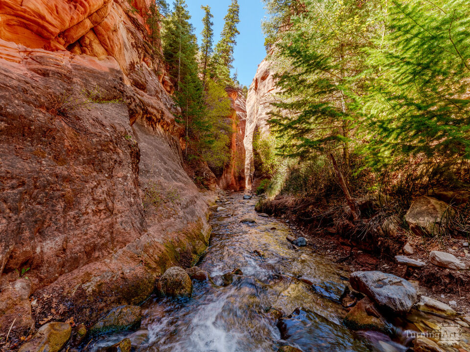 Calm Within The Canyon