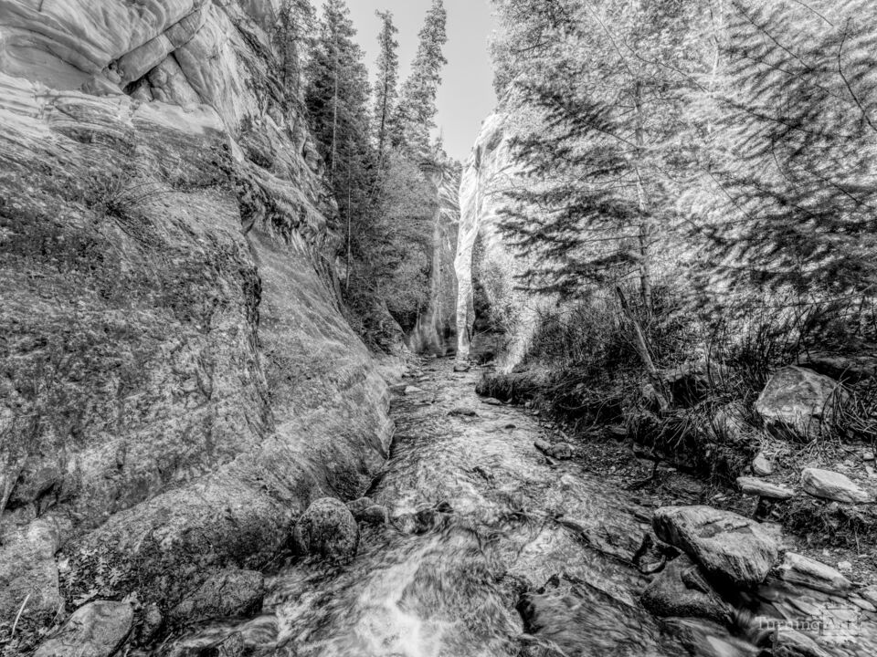 Calm Within The Canyon Grayscale