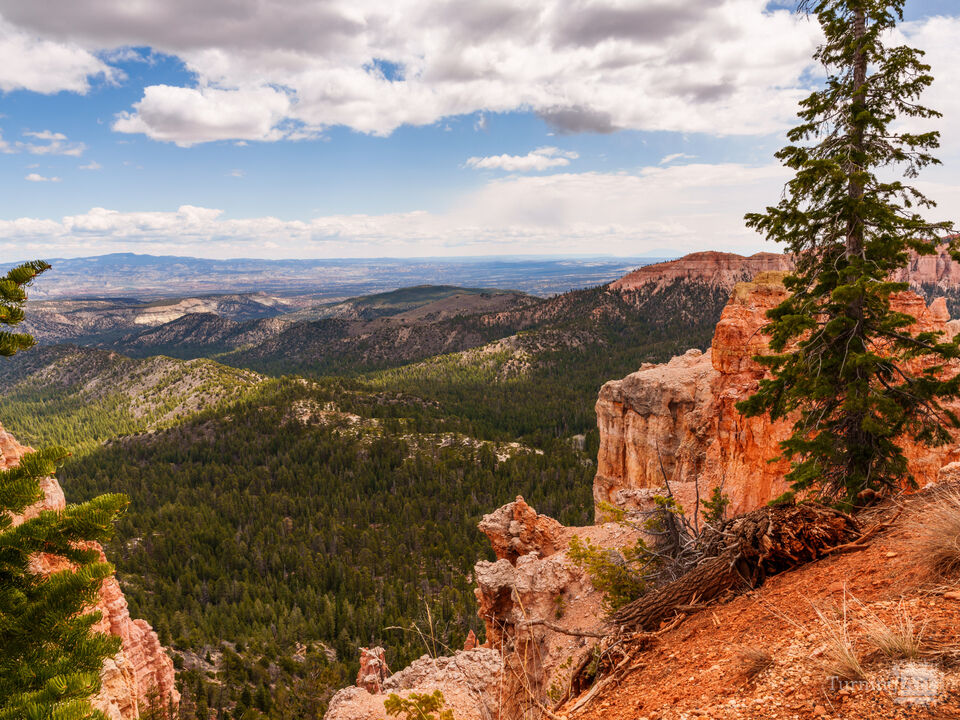 Valley Of Black Birch Canyon