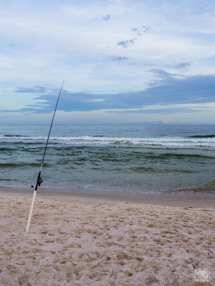 Fishing Orange Beach Alabama