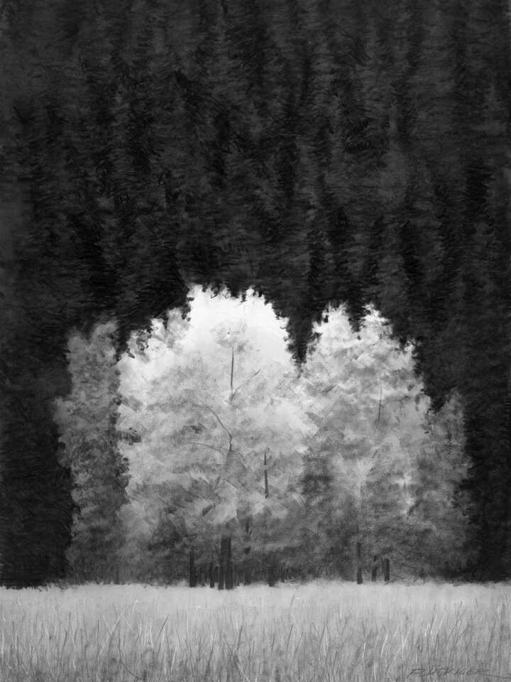 Approaching the Flames