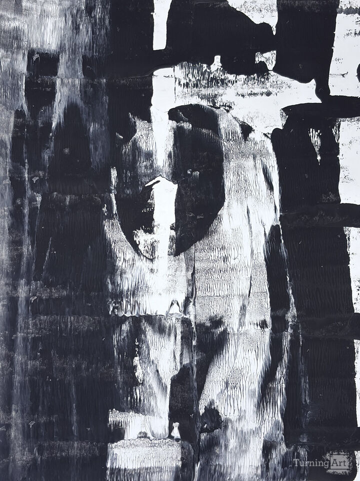  "Echoes in Black and White" 