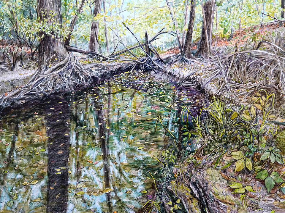 Zimmerman's Creek