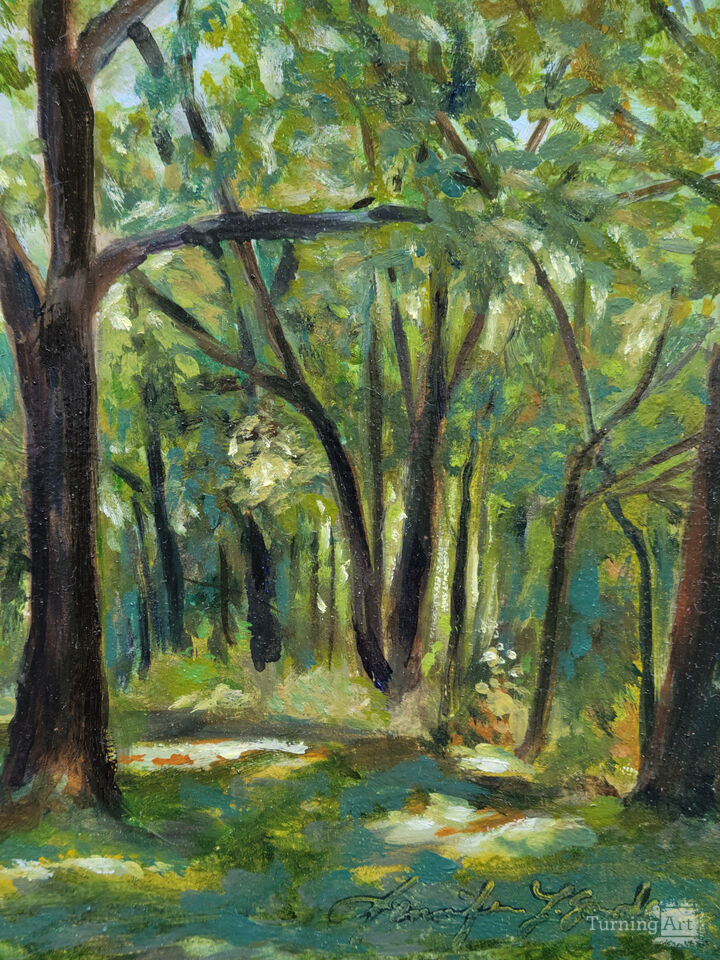Black Walnut Grove