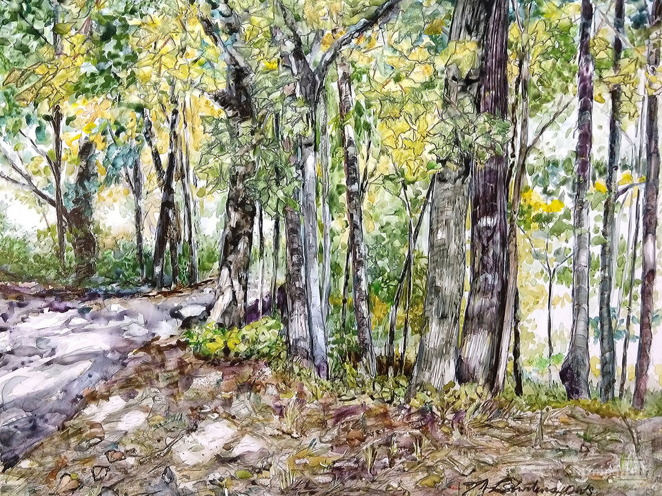 Memorial Woods
