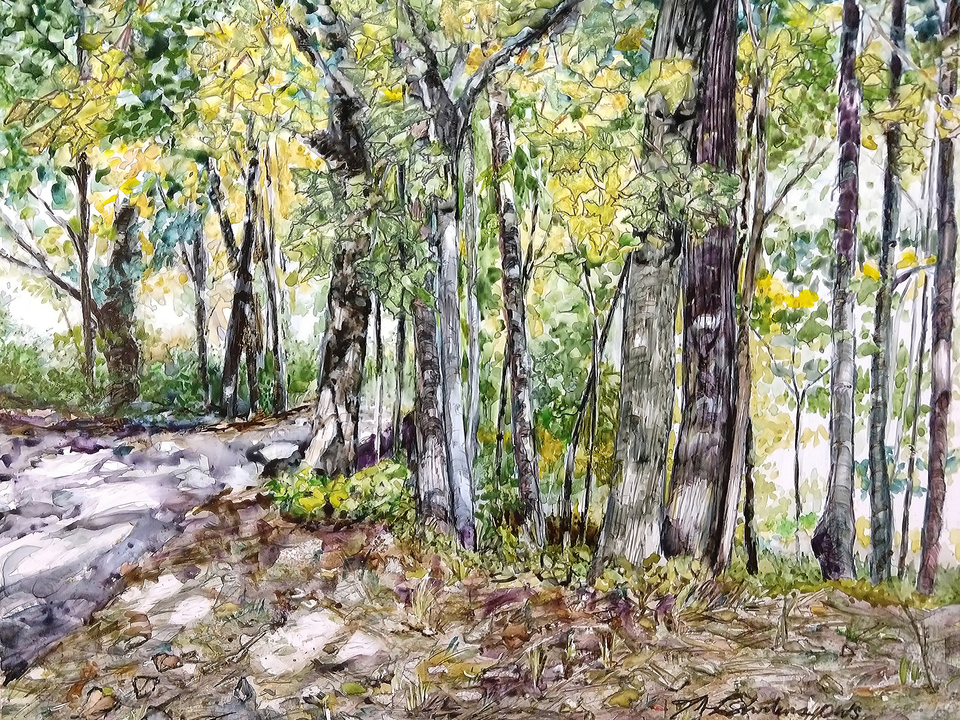Memorial Woods