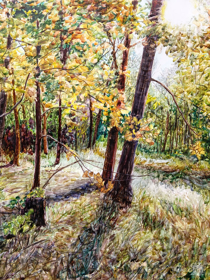 Hancock Woodland 2