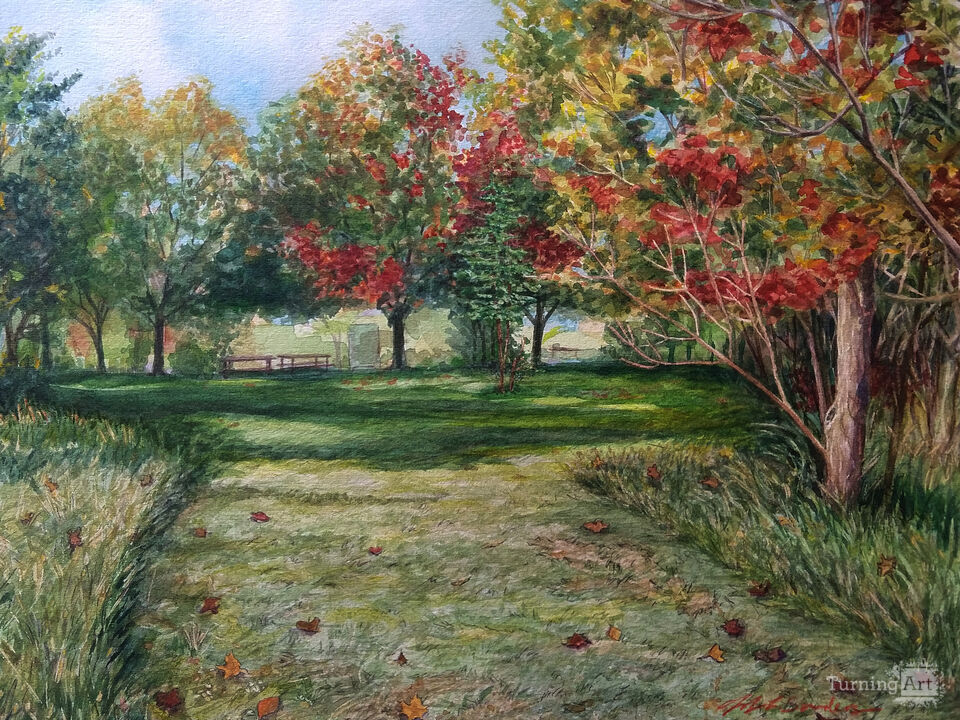 From the Meadows Looking in