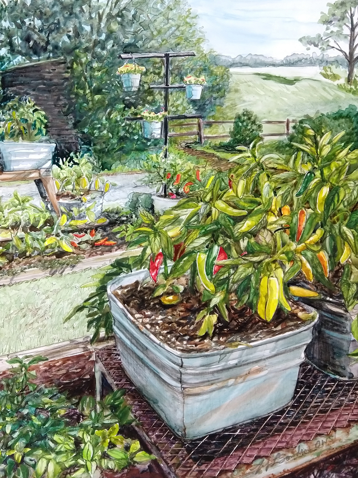 Pepper Garden
