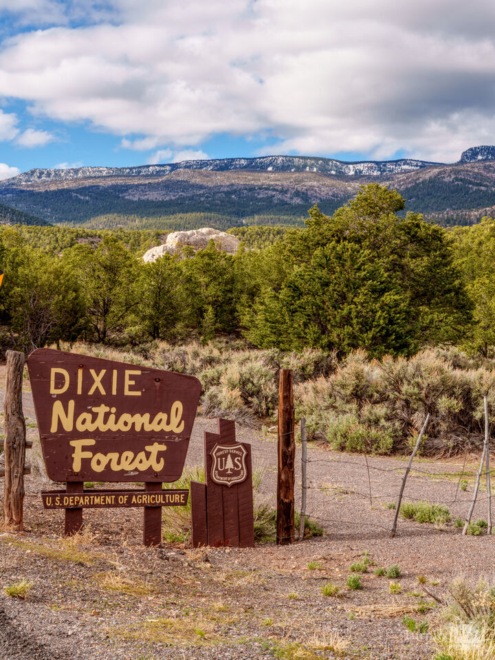 Welcome To Dixie National Forest Sign
