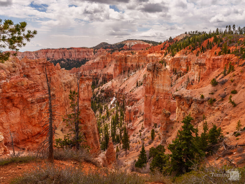 Hoodoos Near Black Birch Canyon