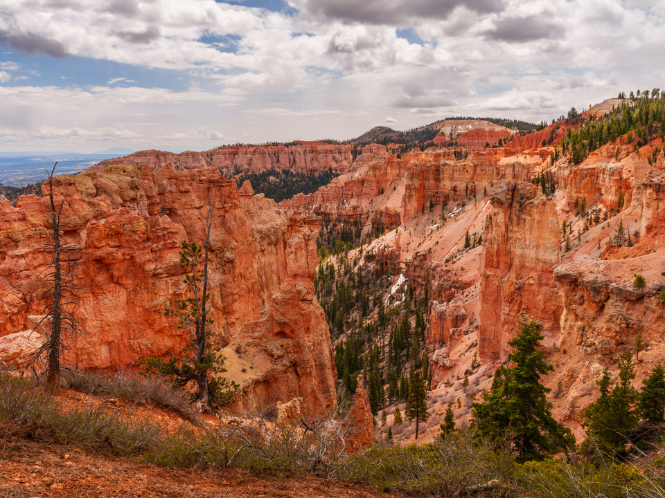 Walls Of Hoodoos Bryce Canyon