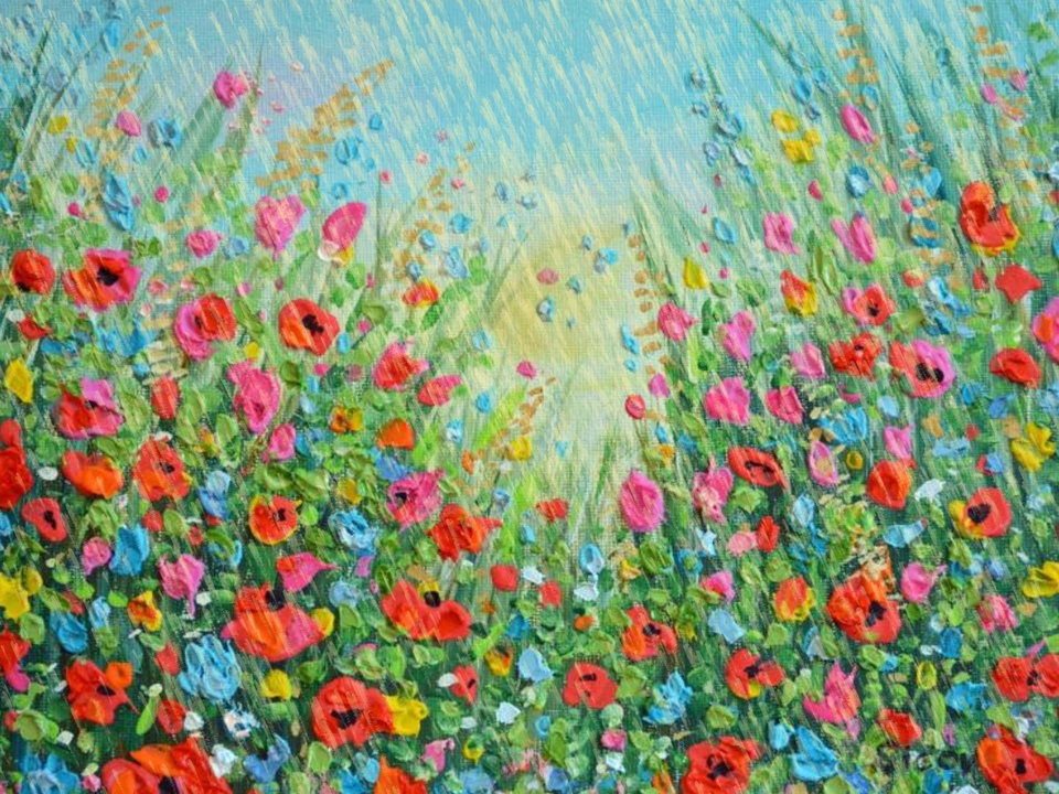 Poppy Field in Rain