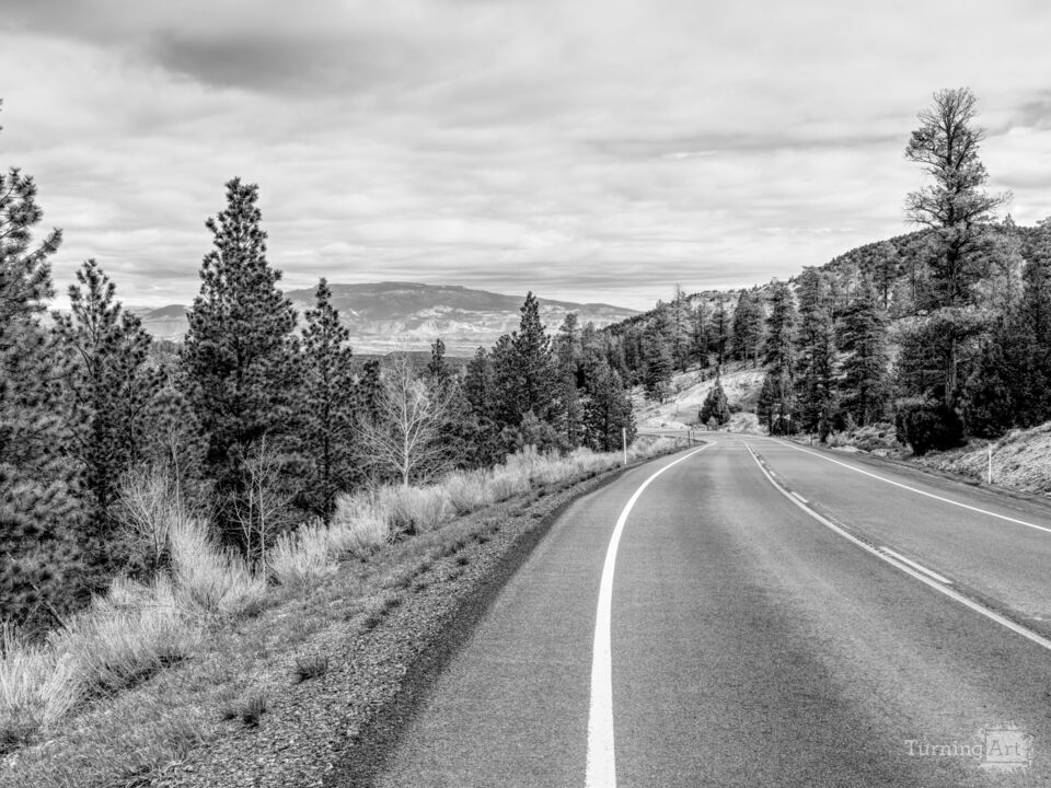 Utah Byway 12 Roadside Mountain View Grayscale