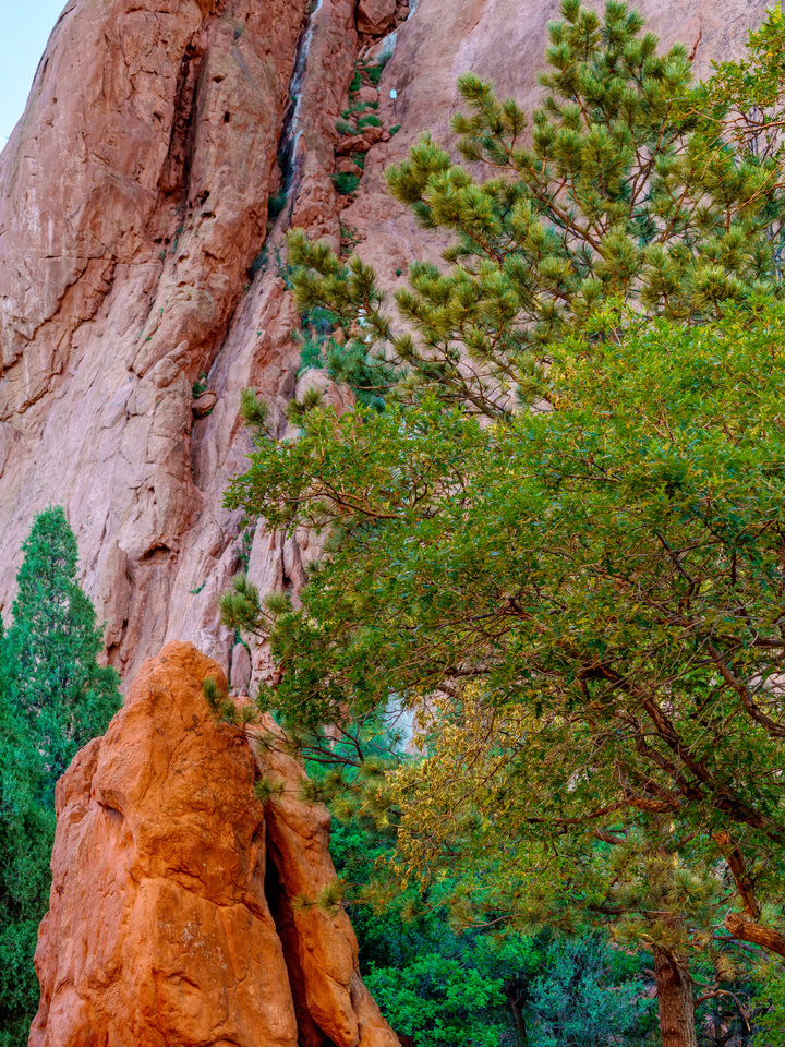 Contrasting Rocks Garden Of Gods
