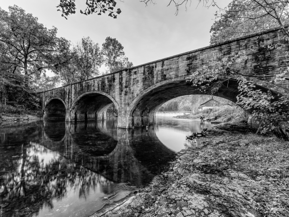 Bennett Spring Morning Stillness Grayscale
