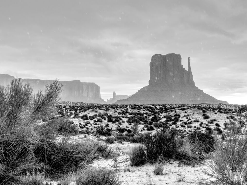Majestic West Mitten In the Storm Grayscale