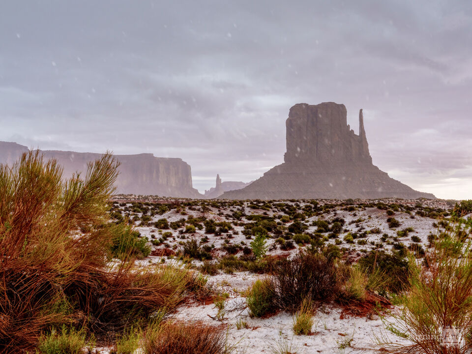 Majestic West Mitten In the Storm