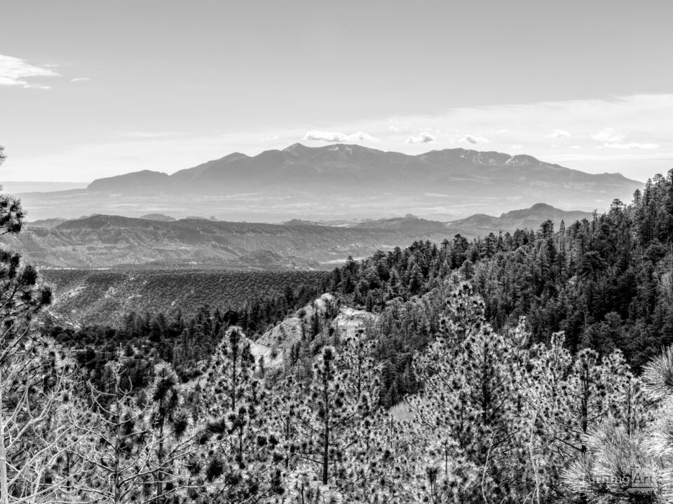 Henry Mountains Utah Vista Grayscale