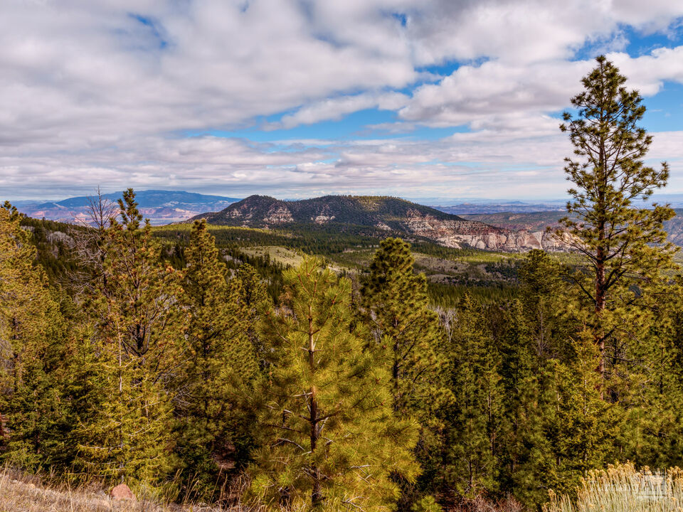 Utah Highland Vista