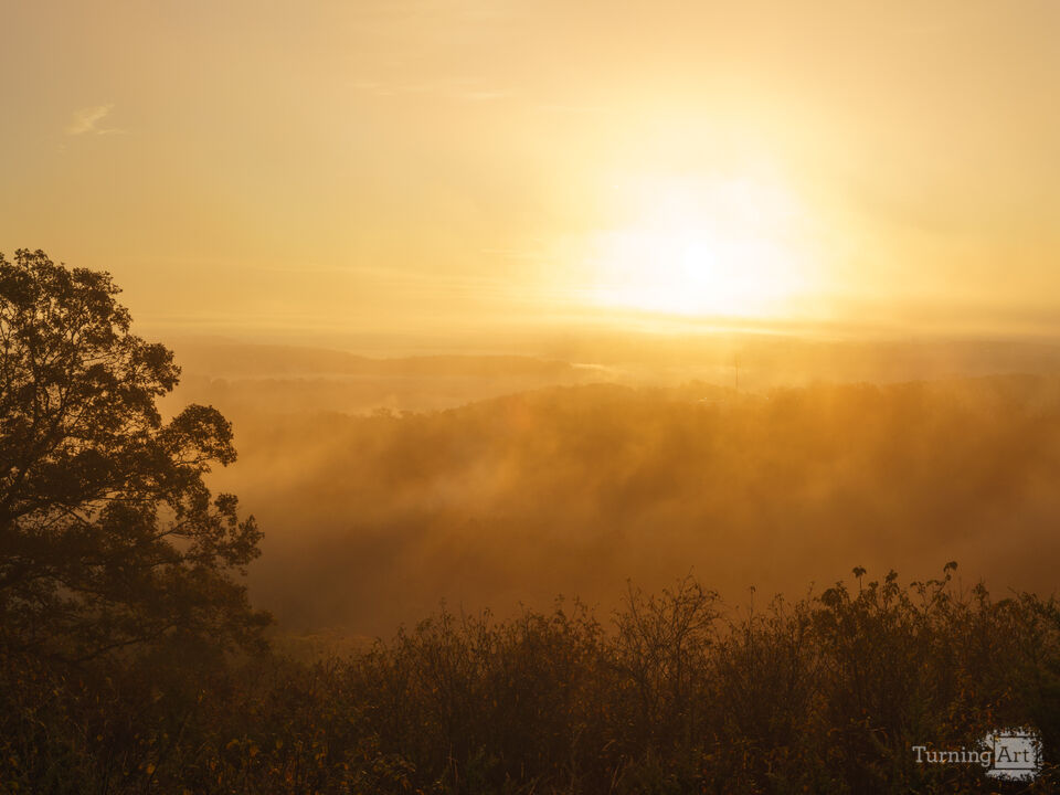 Mystical Fog Dancing At Sunrise
