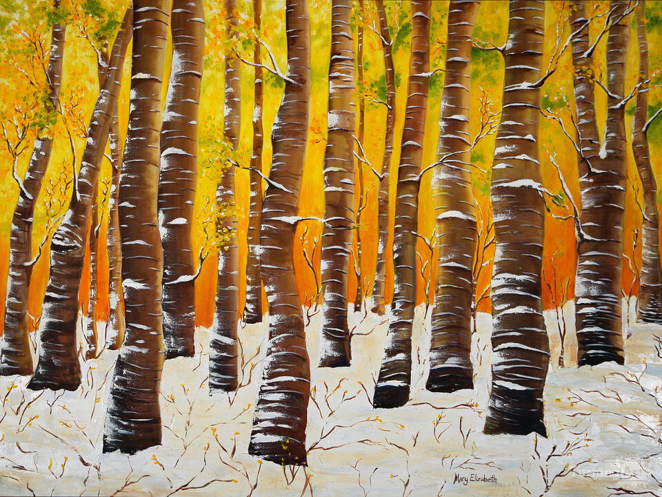 Birch Trees In Winter