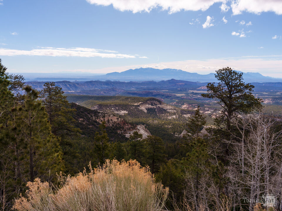 Larb Hollow Overlook Vista