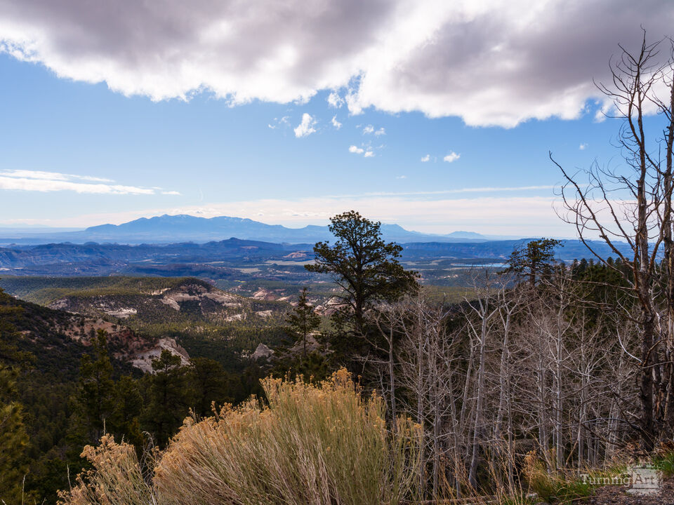 Larb Hollow Overlook Mountain View