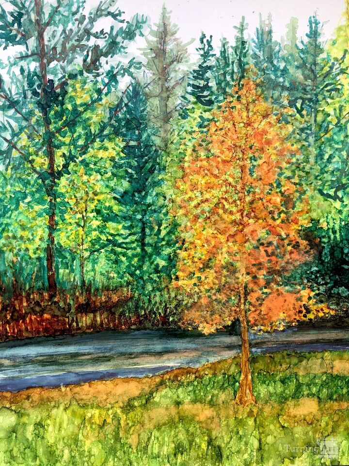 Front Yard in the Fall