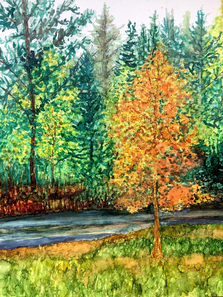 Front Yard in the Fall