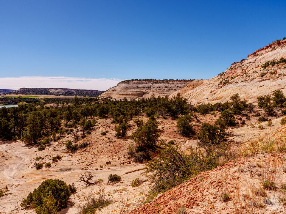 Cream Sandstone Of Boulder Utah