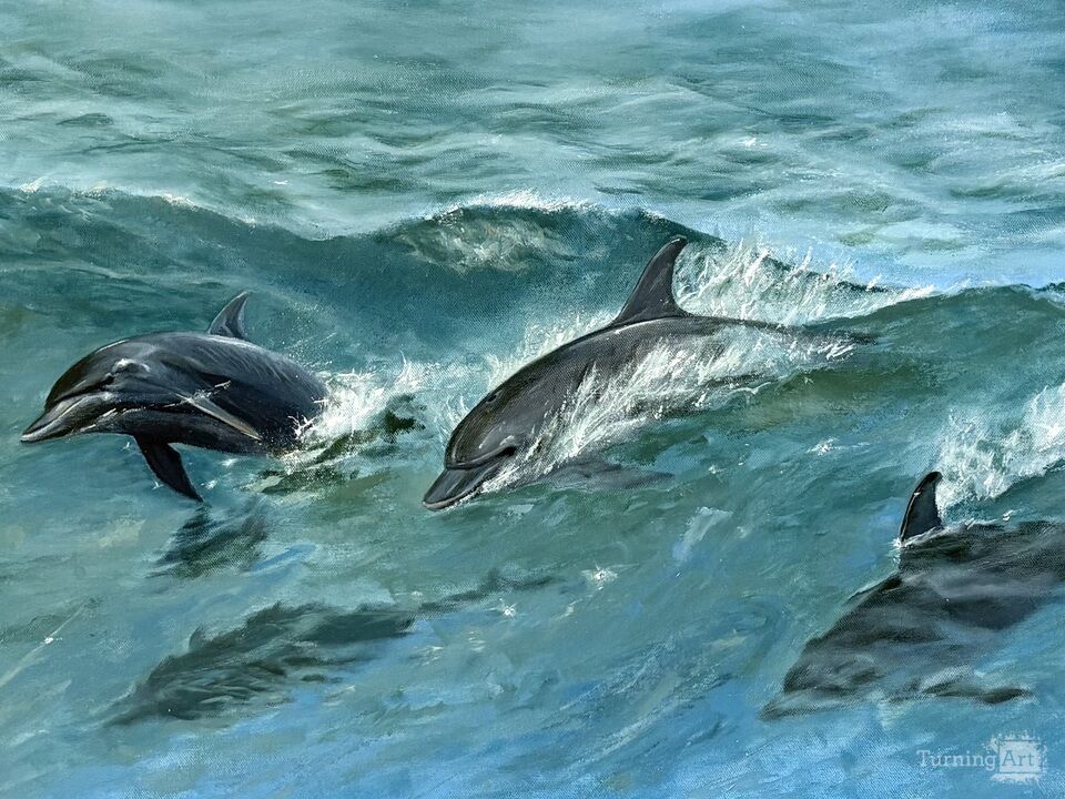 Dolphins Breaching Waes