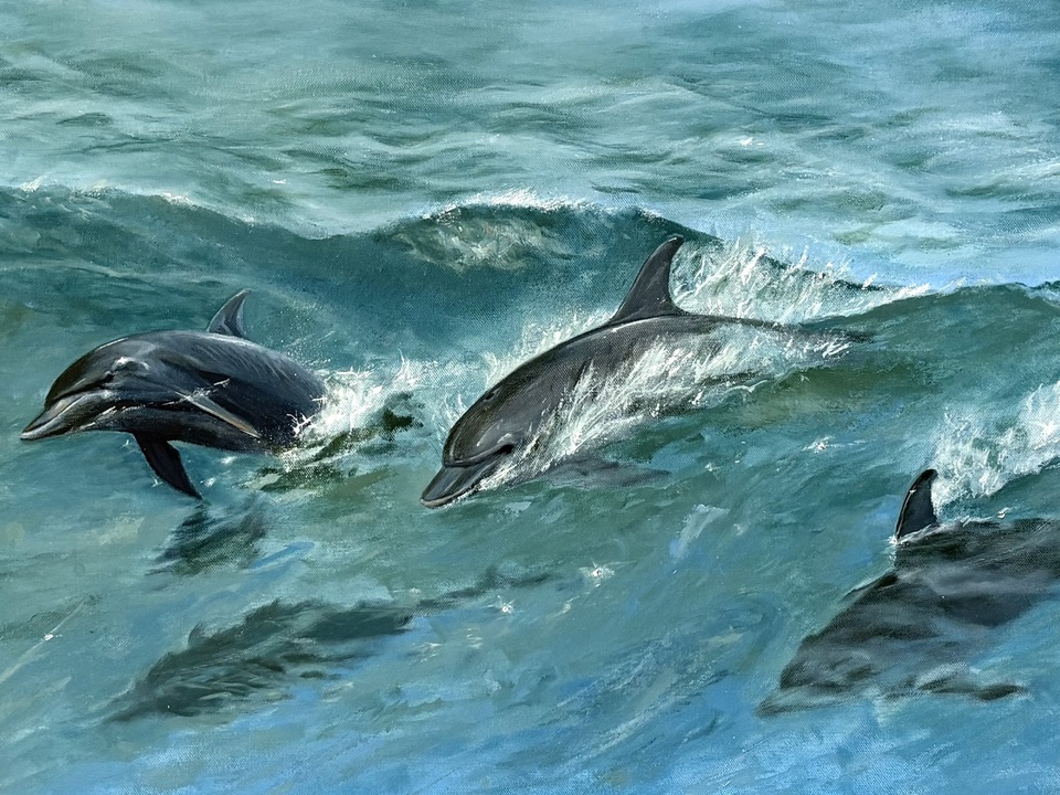 Dolphins Breaching Waes