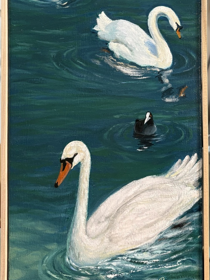 Swans of Lugano