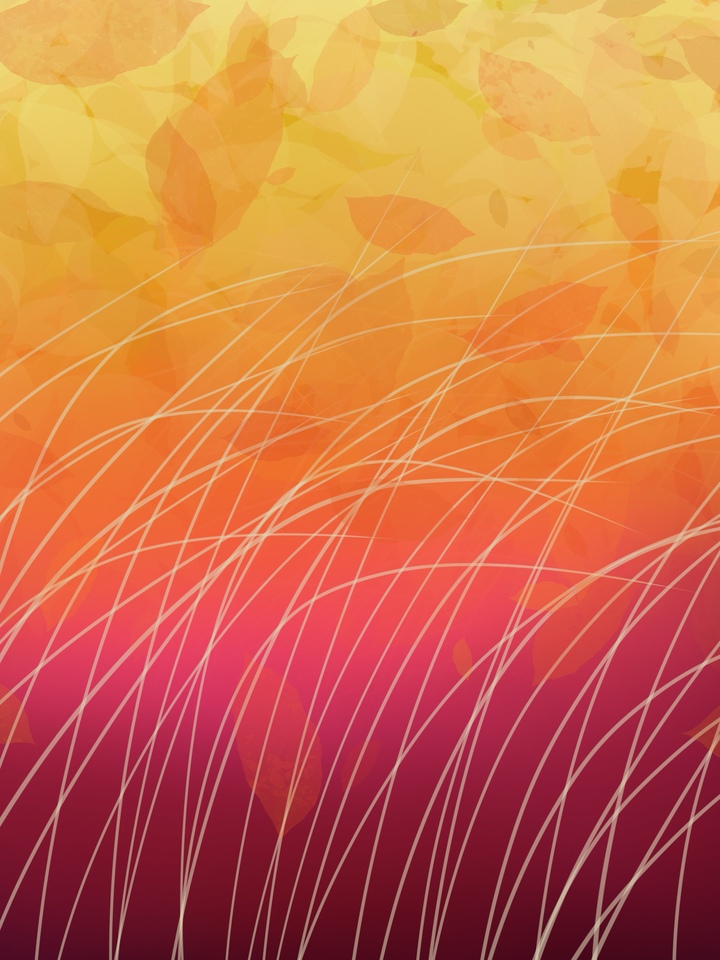 Sunset over Field with Grass 