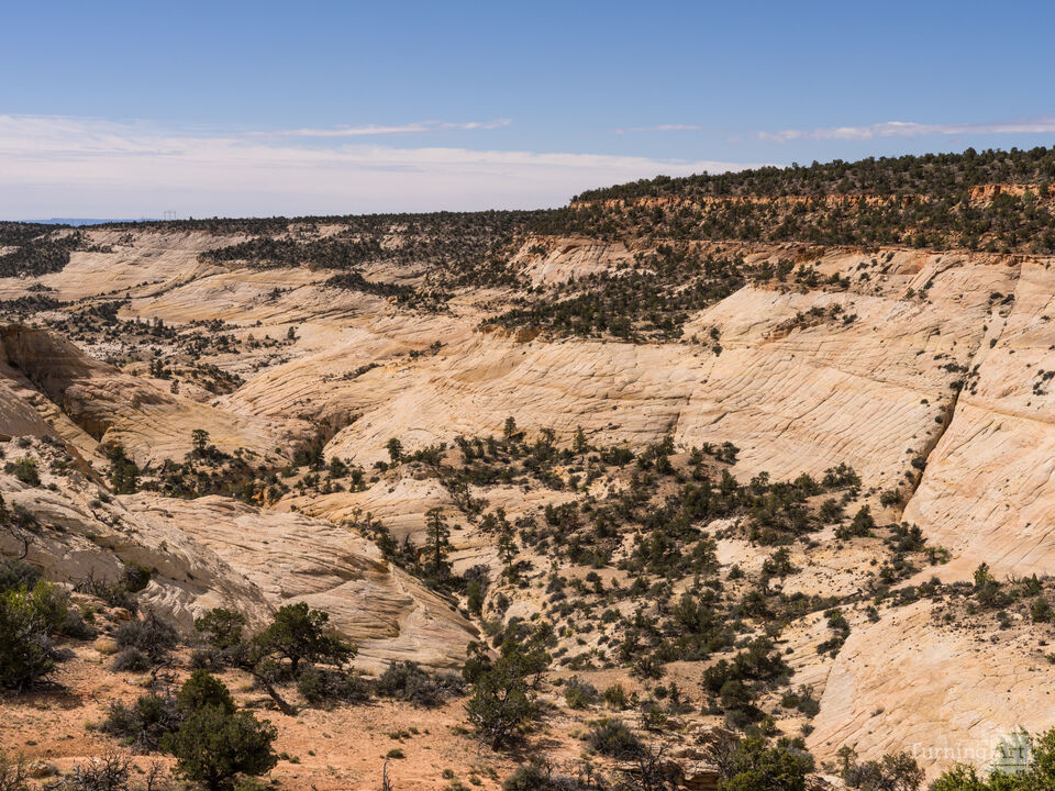 Sandstone Valley Of Grand Staircase Escalante