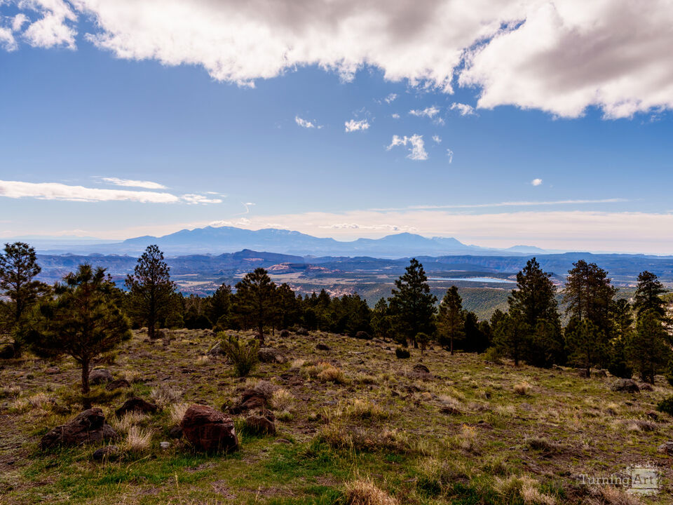 Henry Mountains From Larb Hollow
