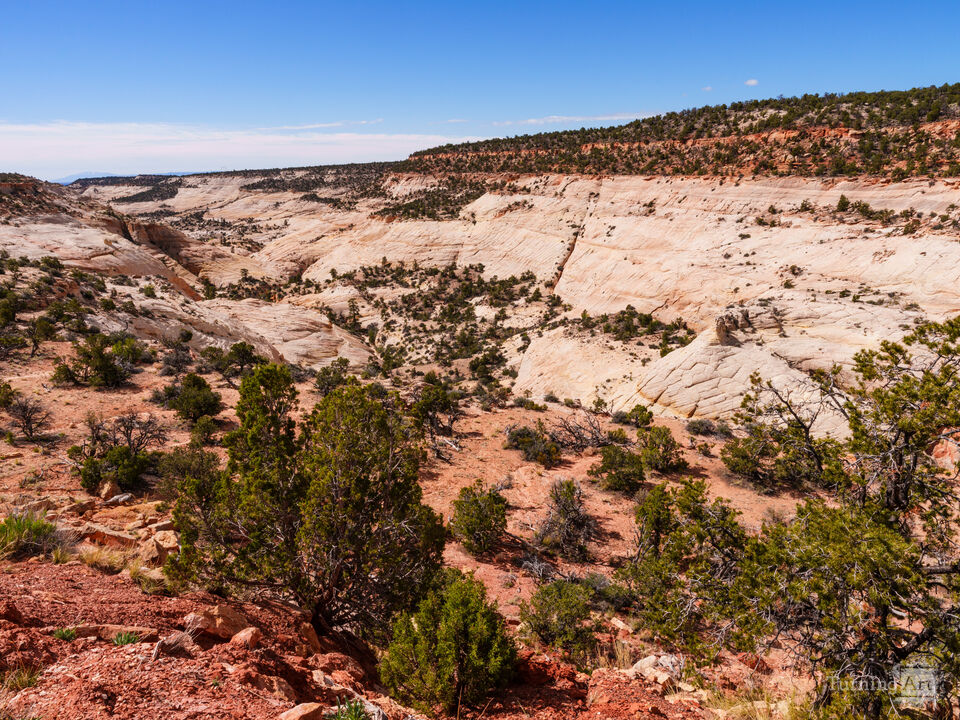 Desert Contrast in Grand Staircase Escalante