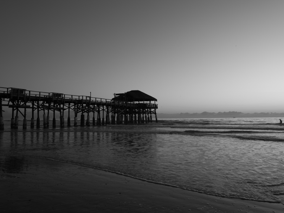 Catching a Wave at Dawn