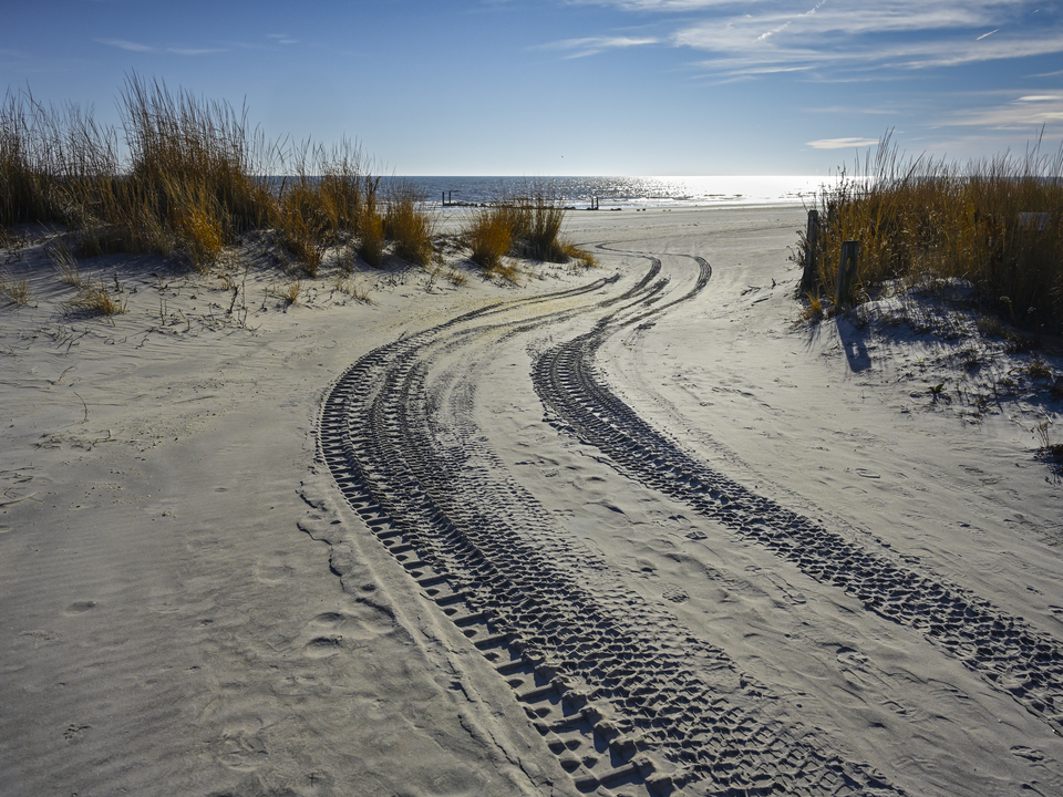 Visions of Atlantic City 2026 #10