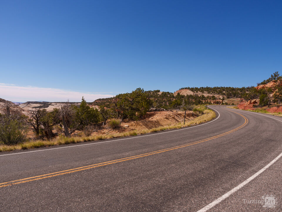 Curves Of Scene Highway 12