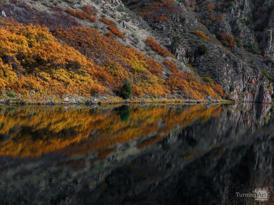 Canyon Reflections