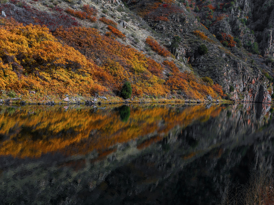 Canyon Reflections