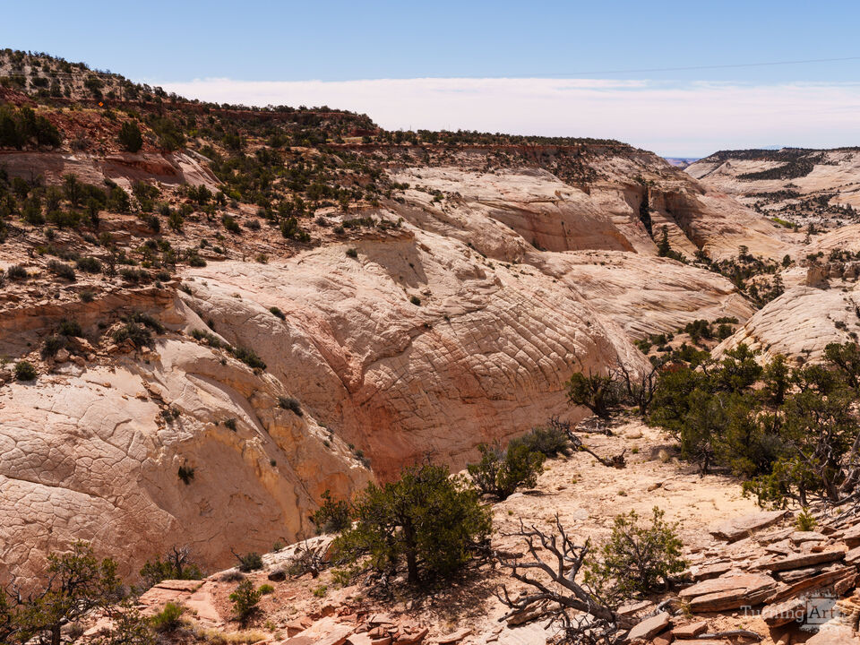 Rolling Slickrock Of Boulder Utah