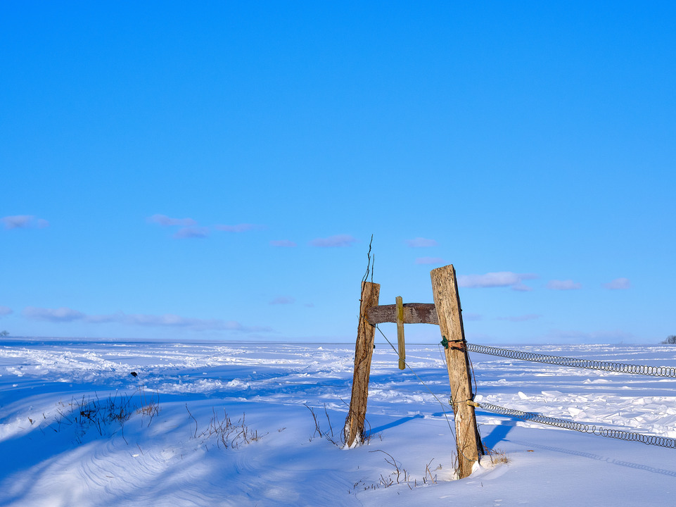 Snow Farm Fence