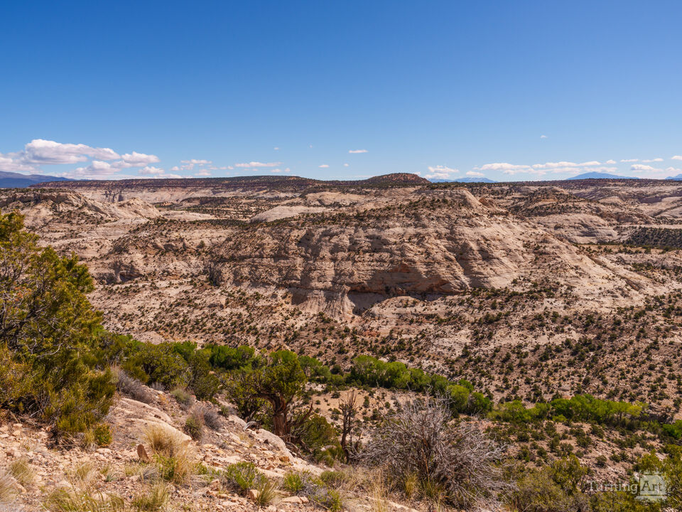 Rock Wonders Of Grand Staircase Escalante